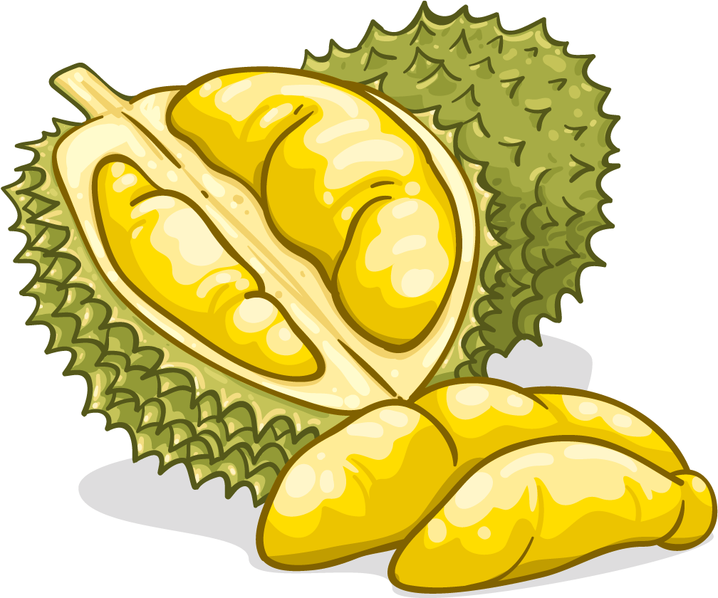Durian Food Flavor Fruit Clip Art - Durian Png (1024x1024)