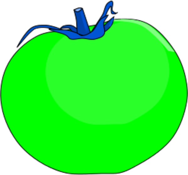 Tomato Vector Clip Art - Green Tomato Clipart (600x561)