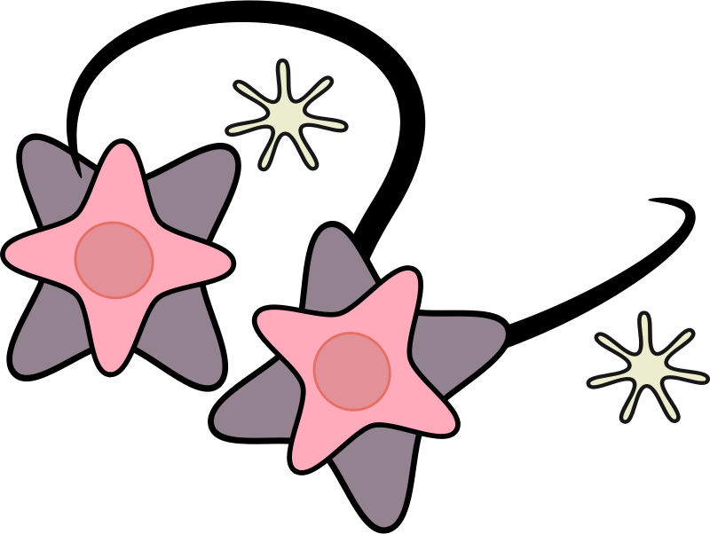 Free Decoration - Portable Network Graphics (800x602)