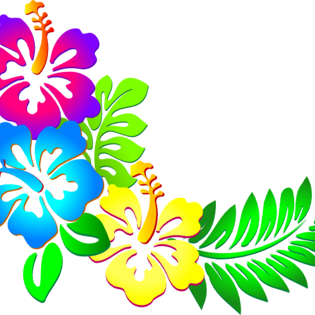 Flower Border Clipart Flower Border Hibiscus Border - Clipart Flower Border Png (1024x1024)