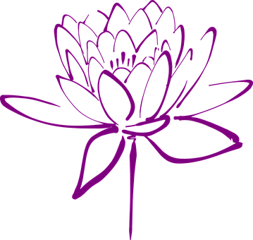 Lotus Flower Blossom Petals Decorative Blo - Japanese Flowers Clip Art (359x340)