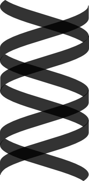 Double Helix Clipart Png (294x598)