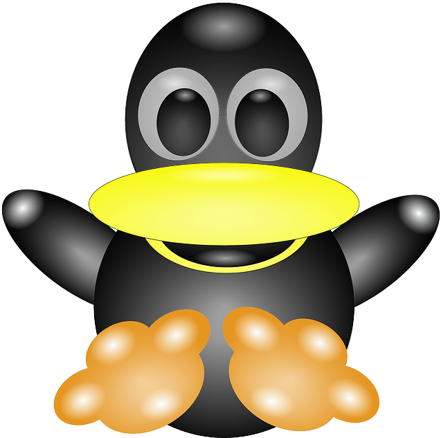 Color Penguin, Black, One, Bird, Cute, Colorful, Beak, - Penguin Clip Art (636x640)