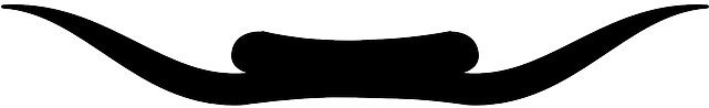 Horizontal, Bottom, Silhouette, White, Separator - Separator Paragraph (640x320)