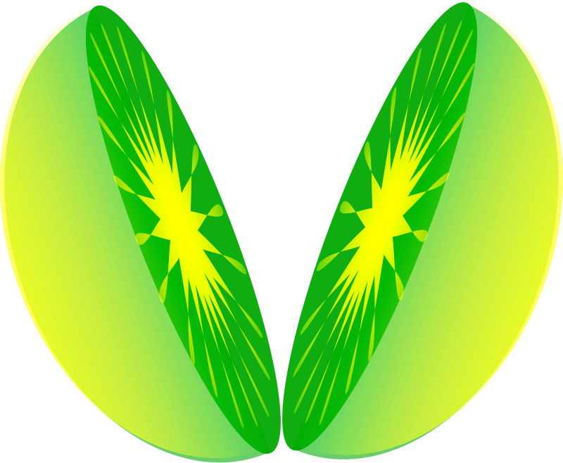 Lemon Slice Cut Image - Lemon (800x658)