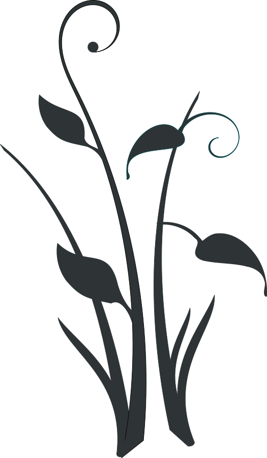 Decoration Clipart Art File - Plant Clipart Black (525x900)