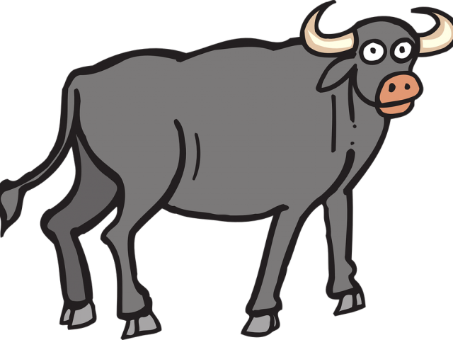 Ox Clipart Bull Horn - Buffalo Clipart (640x480)