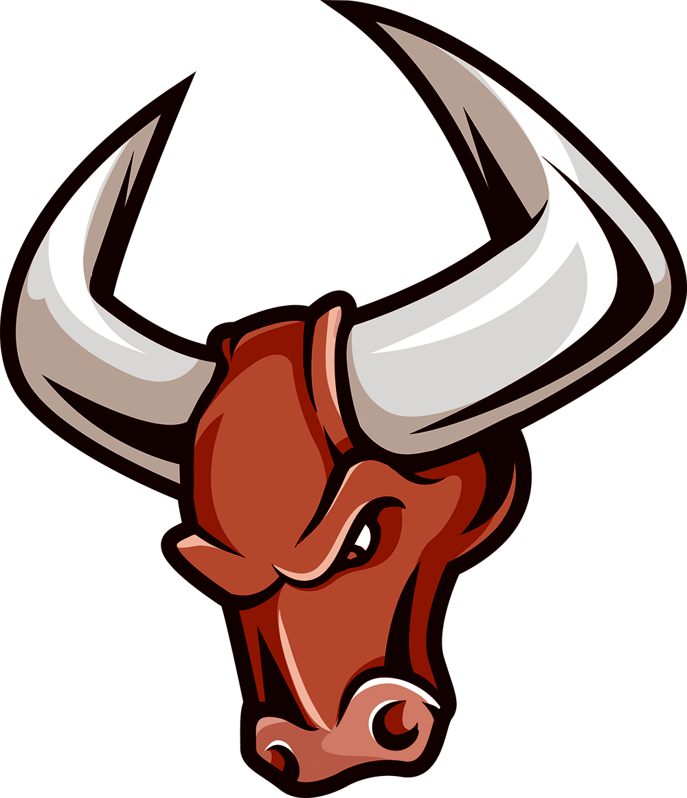 Introducing The Bull Report - Introducing The Bull Report (1000x1161)