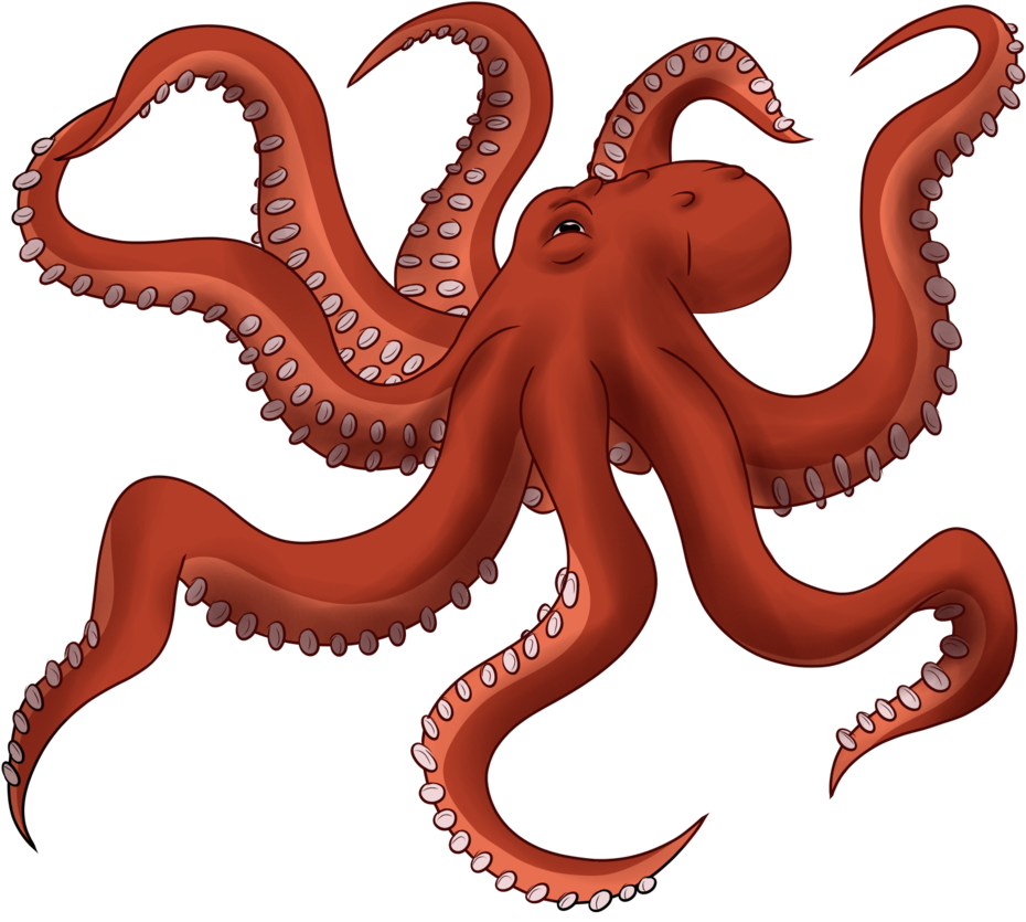 Drawn Octopus Transparent Background - Giant Pacific Octopus Png (1024x853)