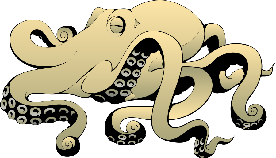This Free Clip Arts Design Of Octopus 01 Png - This Free Clip Arts Design Of Octopus 01 Png (900x517)