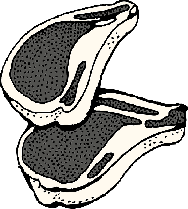 Free Pictures Pork - Chuleta De Cerdo Dibujo (800x890)