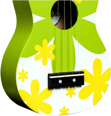 Amahi Dduk6 Green Flower Soprano Ukulele - Ukulele (400x400)