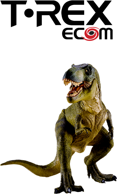 Trexecom Everything Ecommerce E Commerce Software And - E-commerce (417x764)