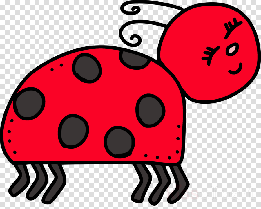 June Bug Clip Art Clipart Beetle Clip Art - Cvc Word Clipart (900x720)