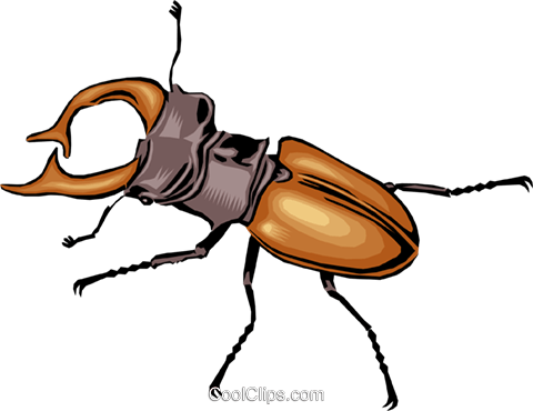 Royalty Free Vector Clip Art Illustration Anim - Käfer Clipart (480x370)