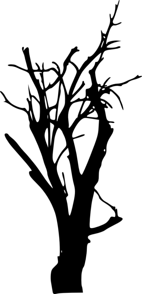 Tree Silhouette Free Images - Silhouette (480x993)