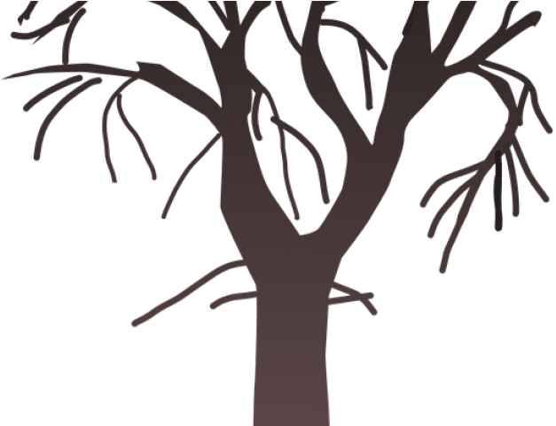 Original - Tree Collage Png (640x480)