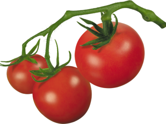 Cherry Tomato Clipart Object - Cherry Tomato Clip Art (640x480)