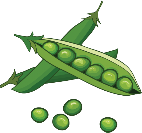 Peas In A Pod - Peas Clipart (600x575)