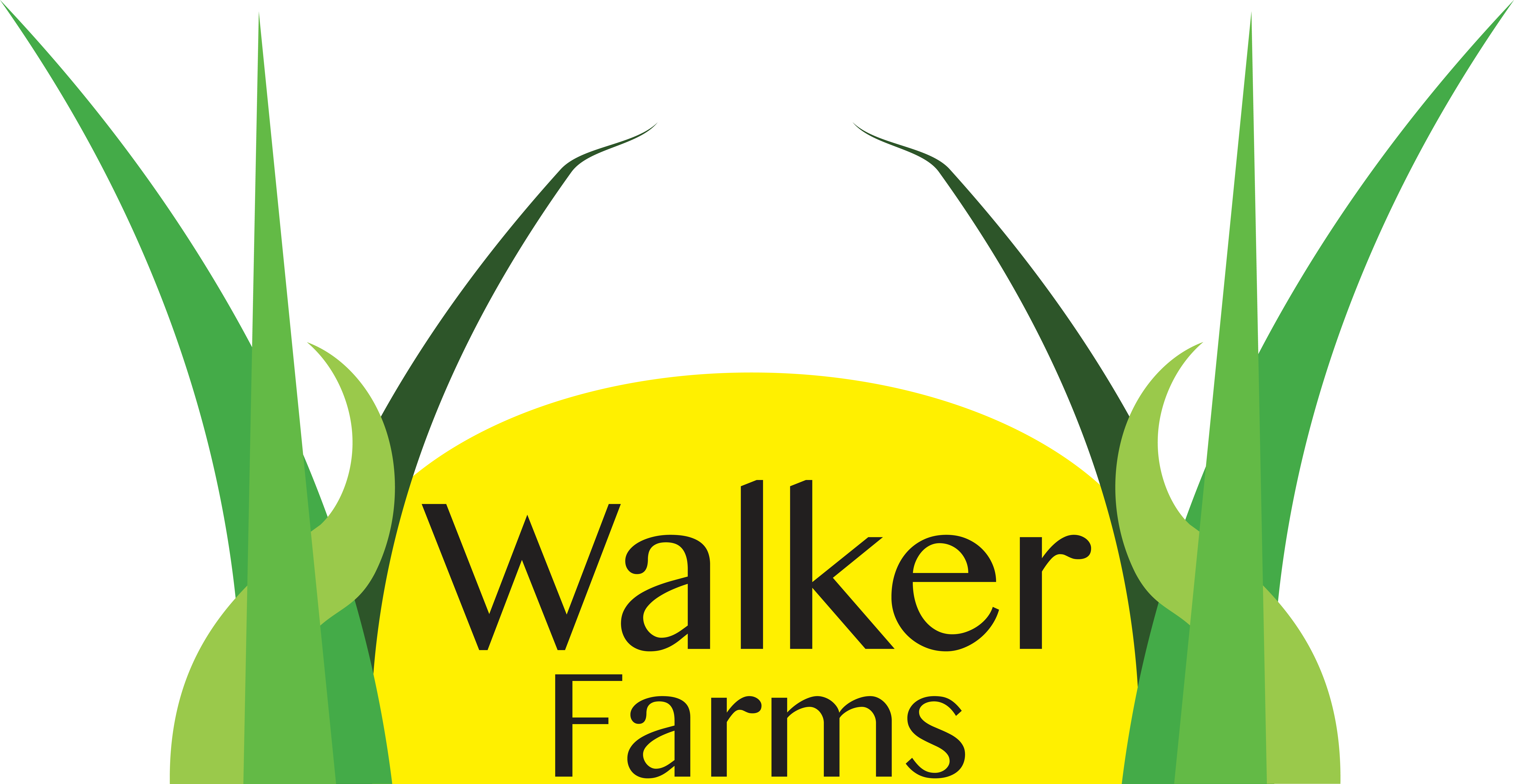 Walker Farms, Llc Logo - Walker Farms, Llc Logo (9222x4778)