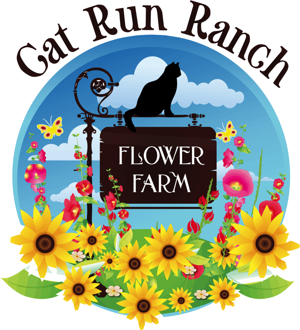 Land Clipart Green Pasture - Sunflower (1000x1100)