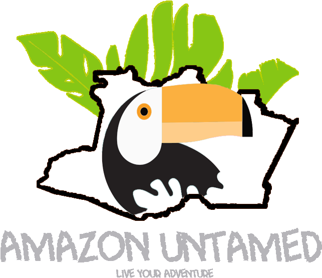 Amazona Untamed Amazona Untamed - Amazona Untamed Amazona Untamed (800x600)