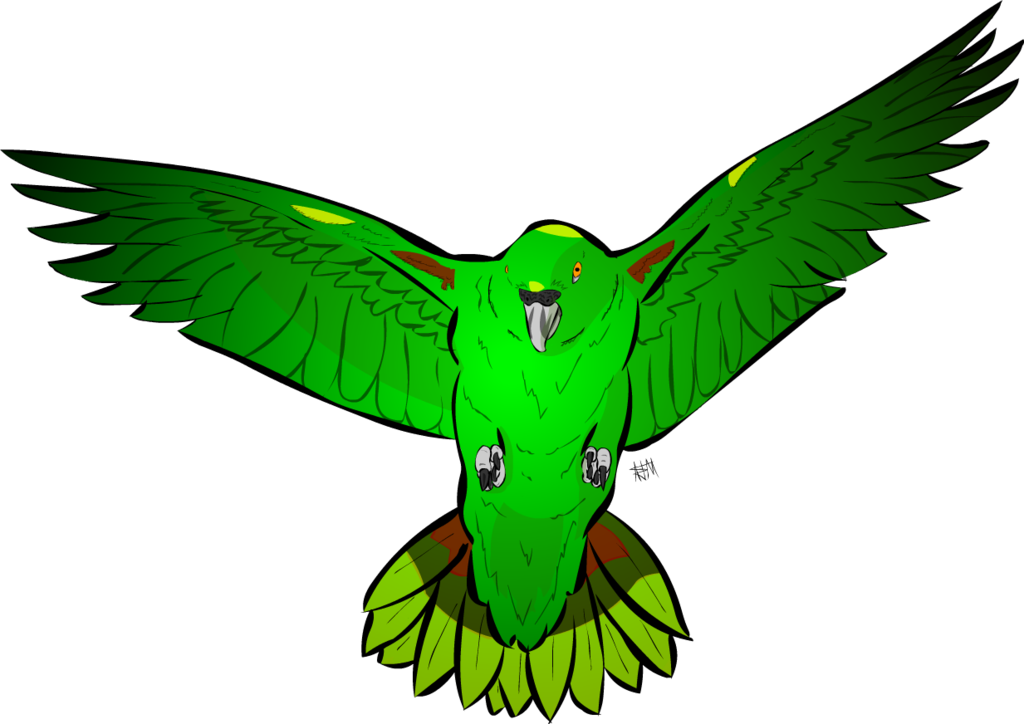 Hummingbird Clipart Animal Amazon Rainforest - Red-tailed Hawk (1024x724)