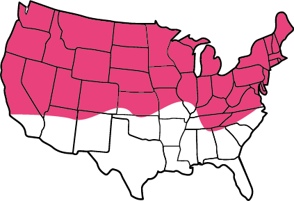 Pasture Usage - Kamala Harris Vs Trump (423x289)