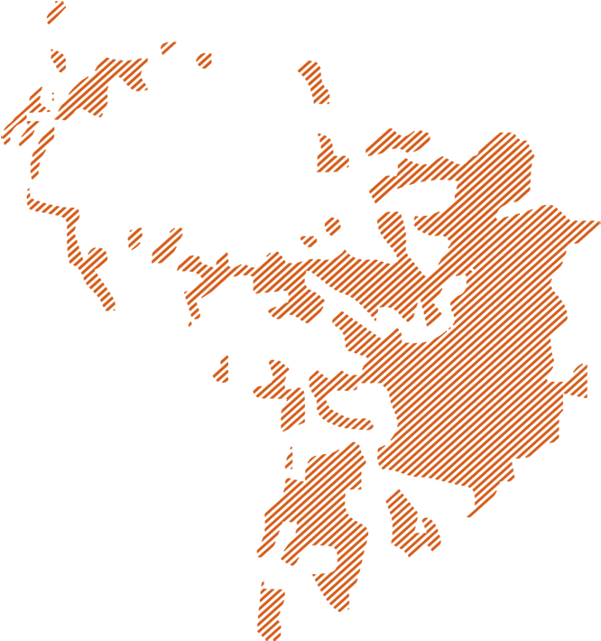 Projected Deforestation - Illustration (800x1250)