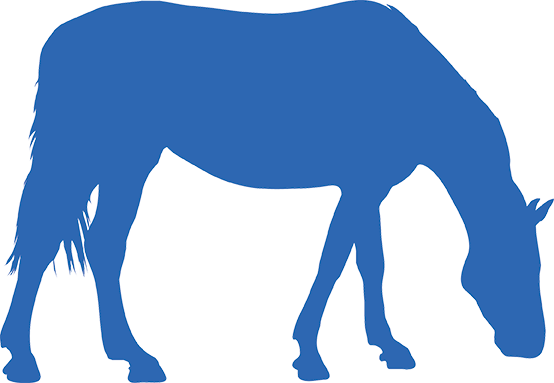 Certain Types Of Pasture Species) - Шаблоны Кукол Для Театра Теней (554x383)