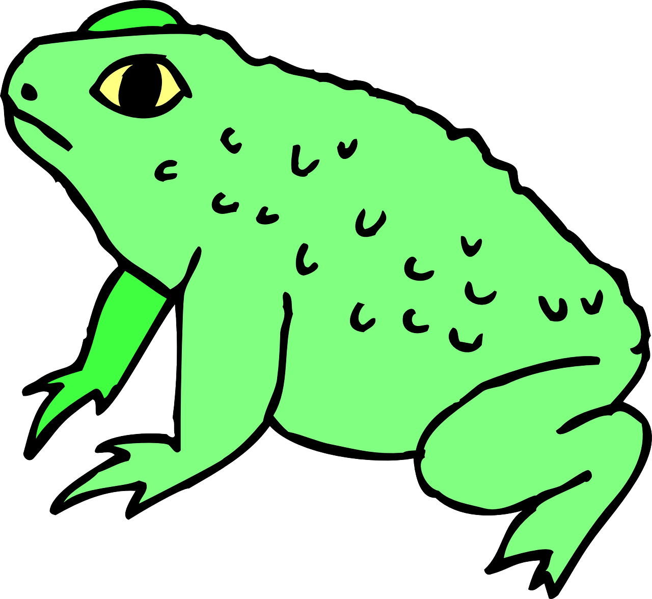 Clip Art Toad (1280x1176)