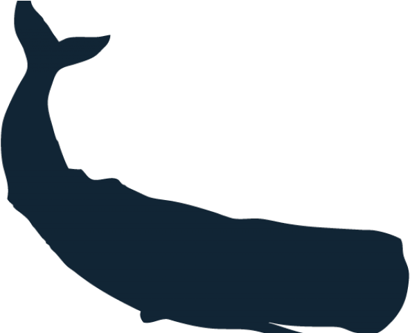 Humpback Whale Clipart Bowhead Whale - Illustration (640x480)