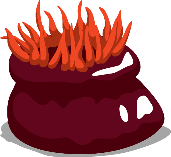 Find Out How Marine Metre Squared Links With The Nature - Illustration (554x510)