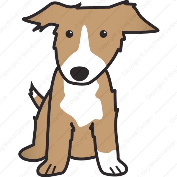 Border Collie Dog Cartoons - Cartoon Dogs (600x600)