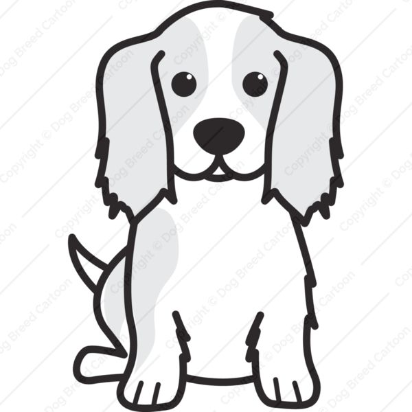 Cartoon Picture Of A Dog - Cavalier King Charles Drawing (600x600)
