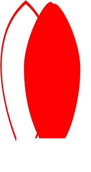 Transparent Background Free Download - Transparent Background Free Download (552x600)