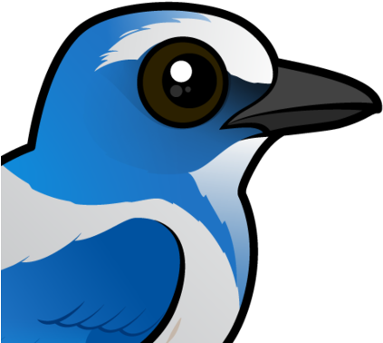 Cute Florida Scrub By Birdorable Meet The - Florida Scrub Jay Cartoon (440x440)
