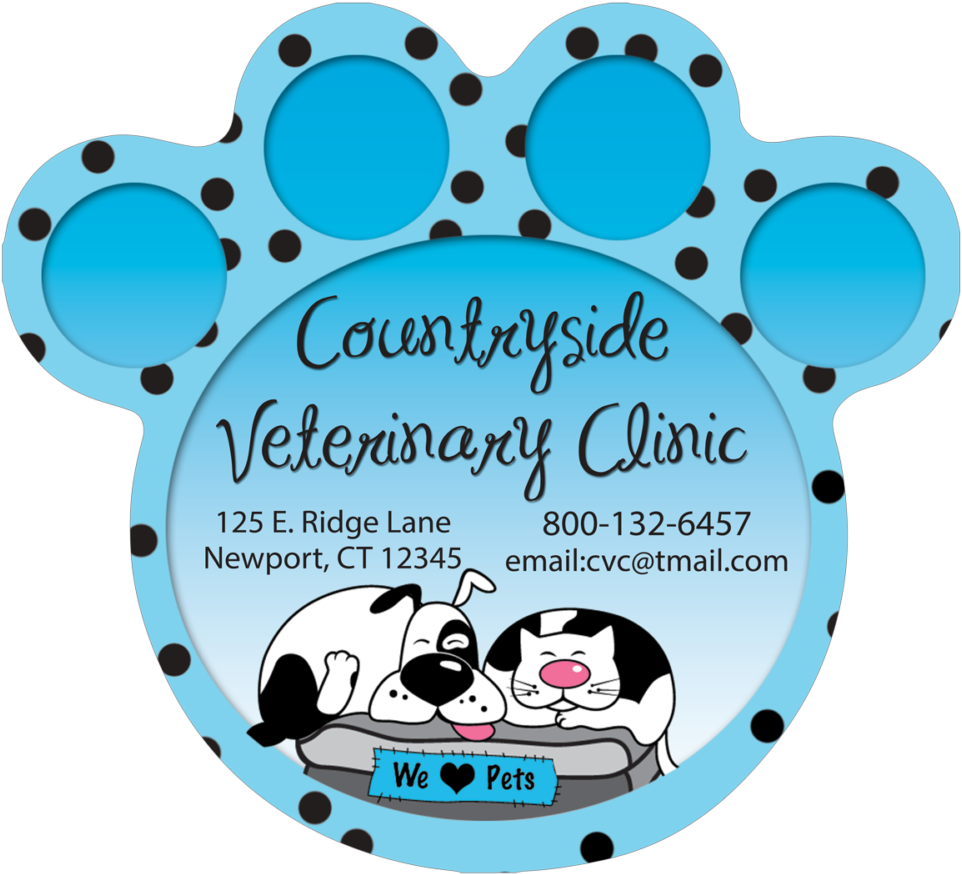 Marketing Supplies For Veterinarians, Groomers, & Boarders - Marketing Supplies For Veterinarians, Groomers, & Boarders (1000x913)