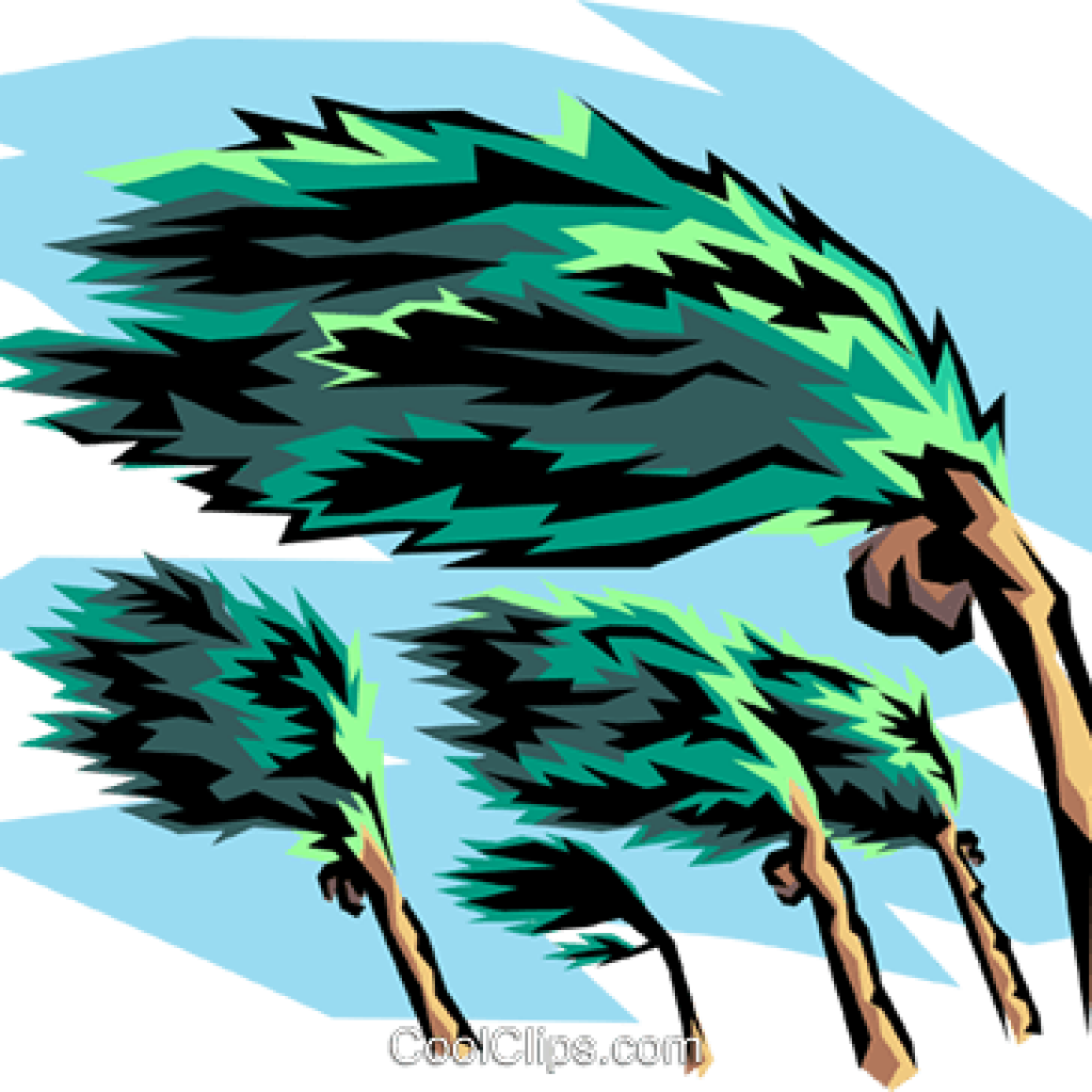 Clip Art Hurricane Collection Of 14 Free Hurricano - Hurricane Clipart Png (1024x1024)