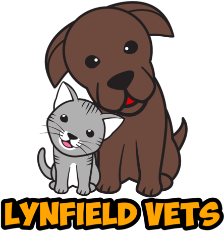 122 White Swan Rd, Mount Roskill, Auckland - Cartoon (500x500)