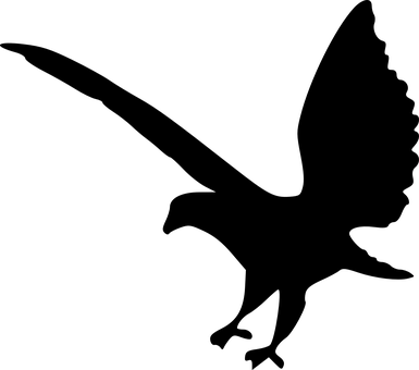 Eagle, Bird, Animal, Flying, Silhouette - Raven Bird Silhouette Png (385x340)
