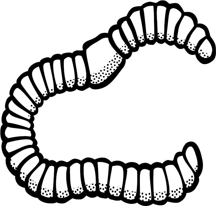 Medium Image - Clip Art Black And White Worm (800x767)