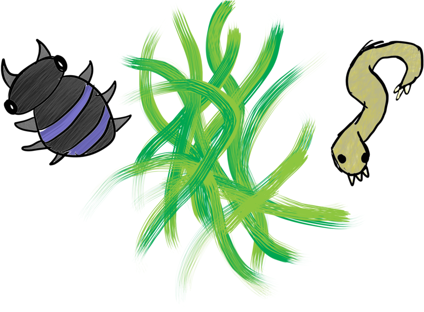 Decomposer Drawing Plant - Decomposers Transparent (1057x755)