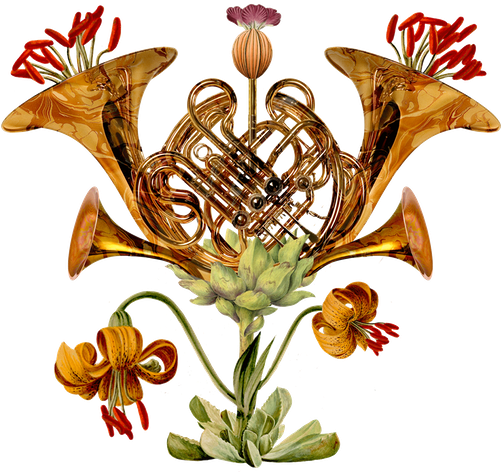 Rohlilie - Prazské Jaro Festival 2019 (500x500)