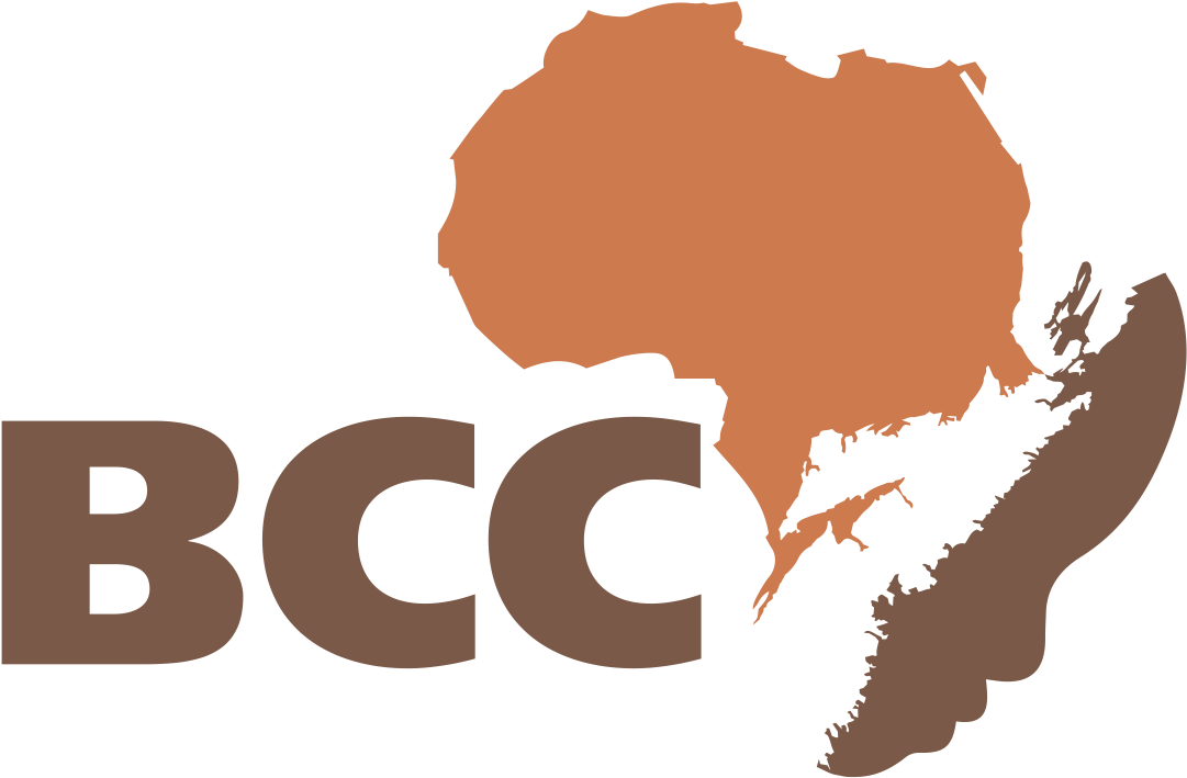 Blackculturalctr Ns - Africa Map (1228x1227)