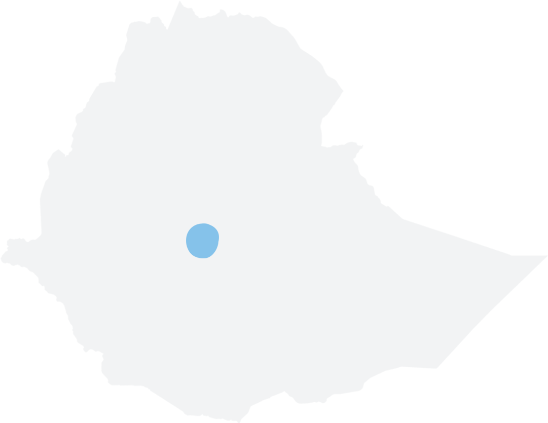 Addis Ababa, Ethiopia Map - Addis Ababa Map (1170x846)