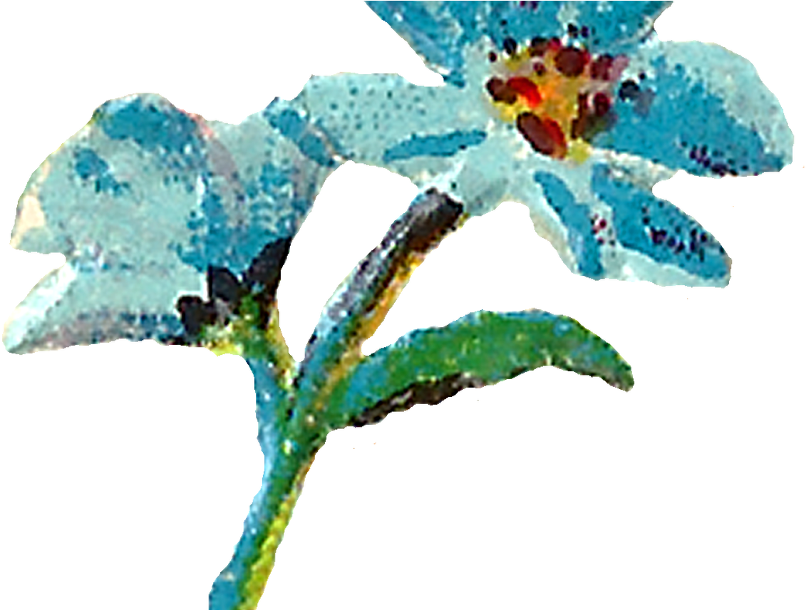 Teal Watercolor Flower Clipart Image - Teal Shabby Chic Transparent (1368x855)