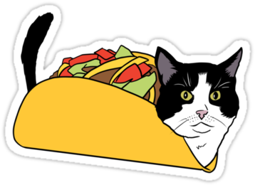 She's Topping It Off With A Black Pillbox Hat With - Cat Grabs Treat (375x360)