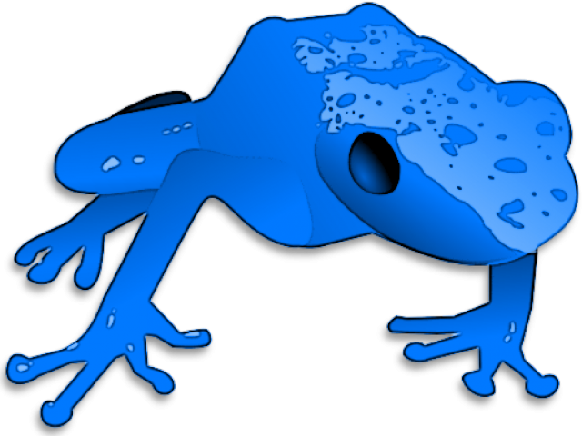Poison Dart Frog Clipart Jungle - Blue Frog Clip Art (640x480)