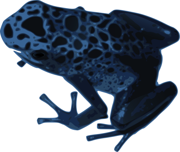 Amphibian Clipart - Amphibian Clipart (600x507)
